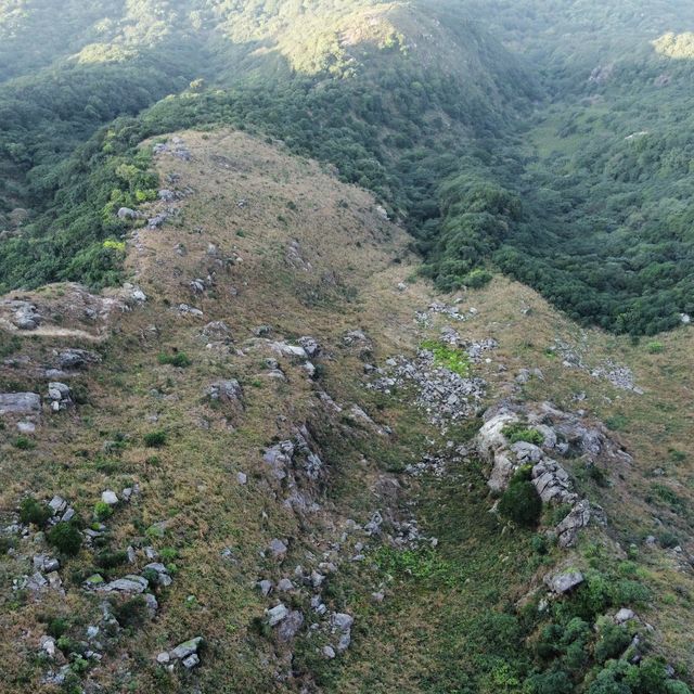 行山 「一樹洞 」沿途驚險