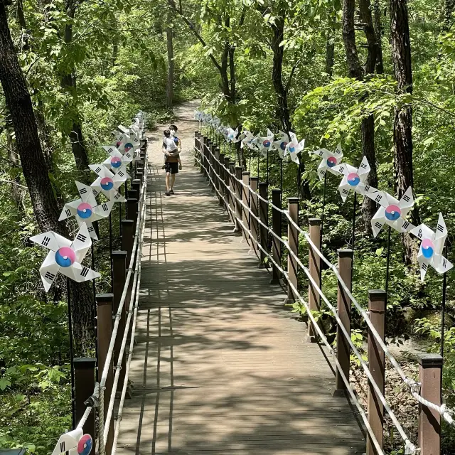 자연과 함께하는 영월 한반도지형에 가보았어요😄