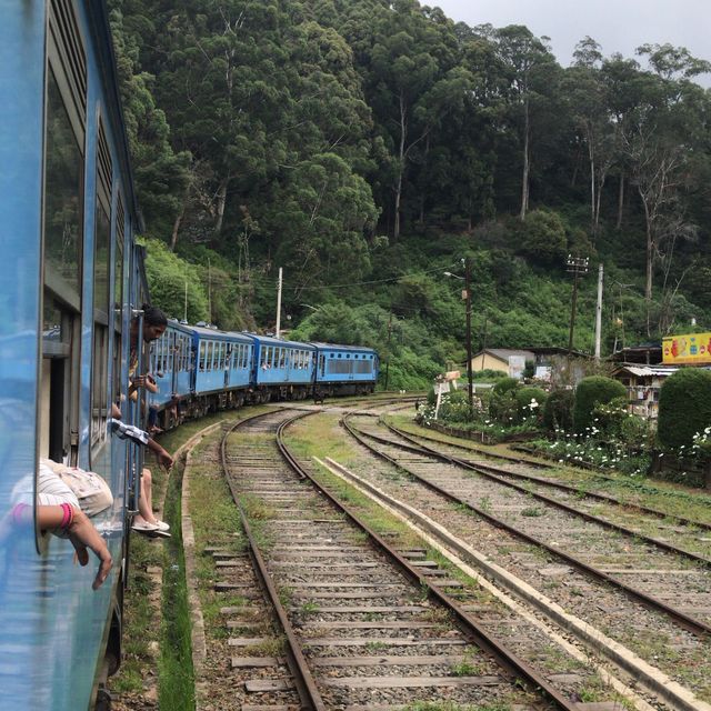 the scenic train ride Nanu Ota-Elle