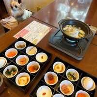 【神奈川・箱根】コスパ最高‼️わんこと一緒にお泊まり出来る温泉宿♨️