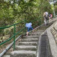 親子行山路線推介：深井肥標 - 全港最肥嘅標高柱