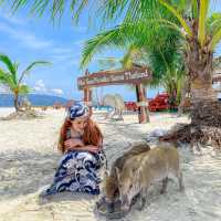 ไปหาน้องหมูบนเกาะกลางทะเลกัน 🐷😆🌊
