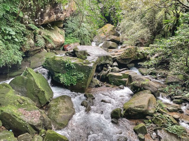 基隆特色峽谷步道~暖東峽谷 親近大自然與水流 