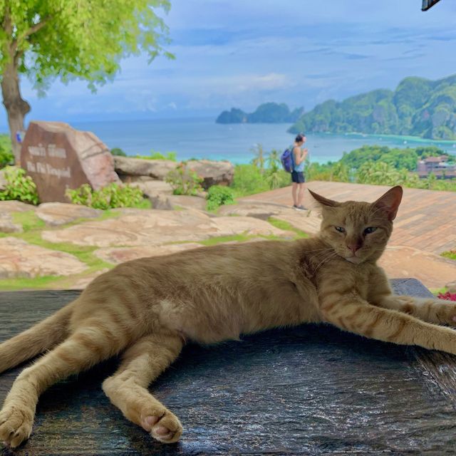 จุดชมวิว เกาะพีพีดอน สวยสุดๆไม่มาไม่ได้แล้ว