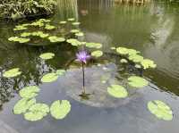 Equarius Hotel gardens