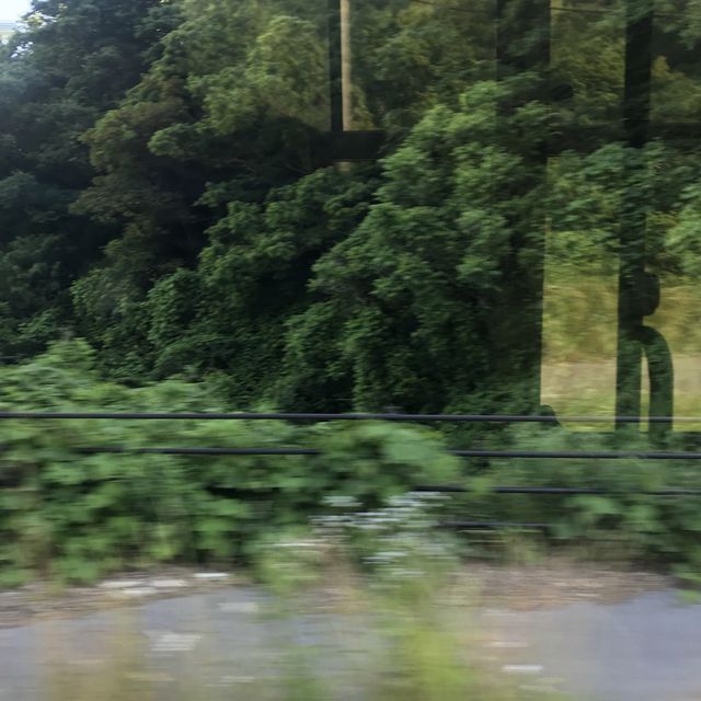 《日本-輪島市》堅持要去看的「梯田之美」