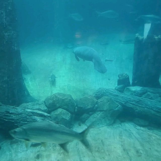 Trip to River Wonders