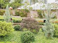 花悅滿城花卉展覽
