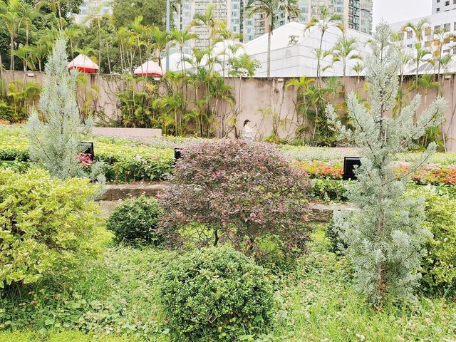 花悅滿城花卉展覽