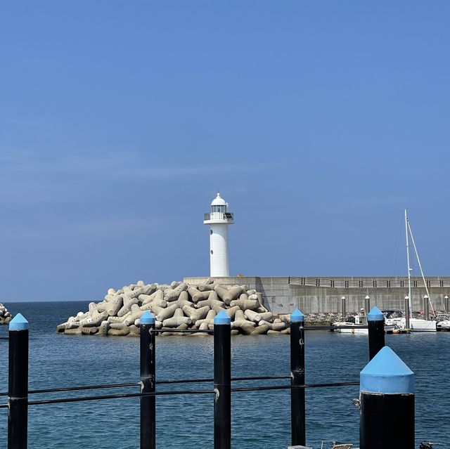 ⛵ 제주공항에서 가장 가까운 항구, 도두항