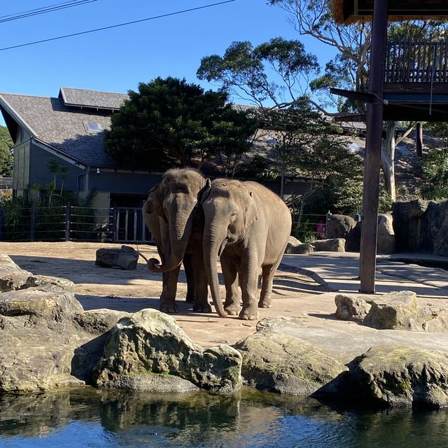 the best zoo ever