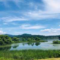 이국적인 느낌의 공원 ‘남양주 물의 정원’ 🌳💙