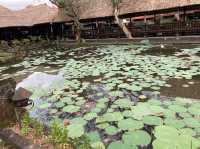 【バリ】水面に浮かぶ寺院「サラスワティー寺院」