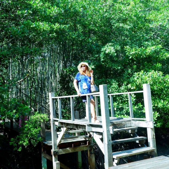 เที่ยวป่าชายเลน อ่าวคุ้งกระเบน @จันทบุรี