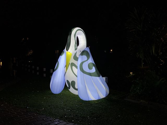 Cute inflatable birds! 🕊