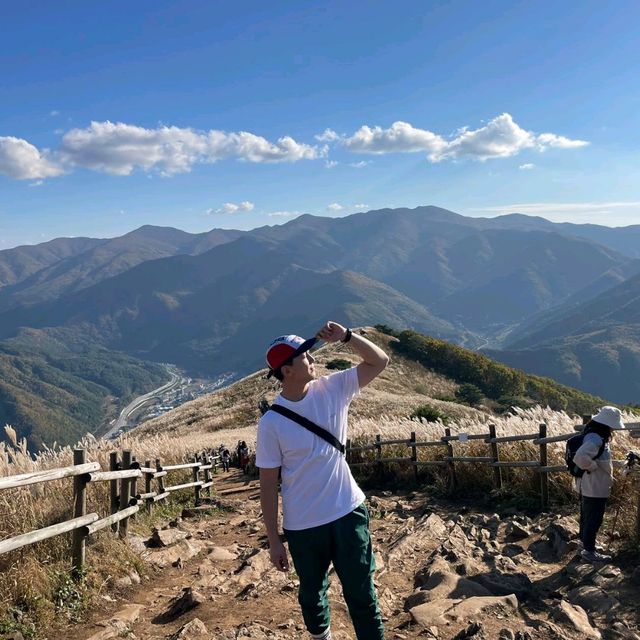 억새꽃 천국 민둥산!
