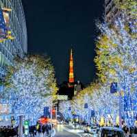 Winter Illumination @ Roppongi Hills 