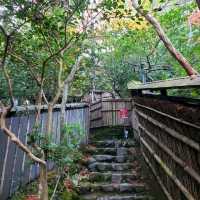 平家物語に登場する悲恋の尼寺【祇王寺】✨