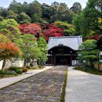 絶景かな【南禅寺】✨