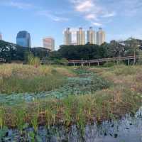 Sunset strolls at benjakitti forest park