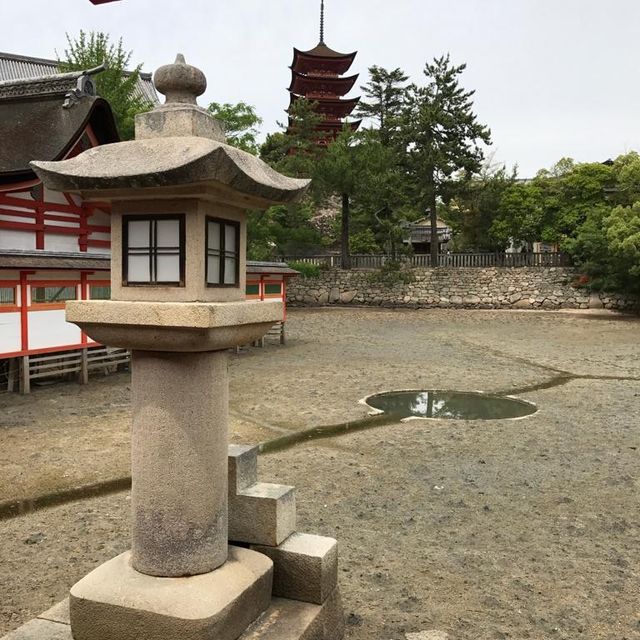 廣島世界遺產 - 嚴島神社