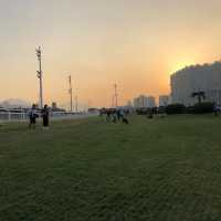 香港探險日記 之 大埔海濱公園