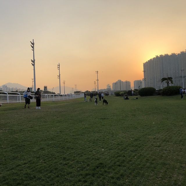 香港探險日記 之 大埔海濱公園