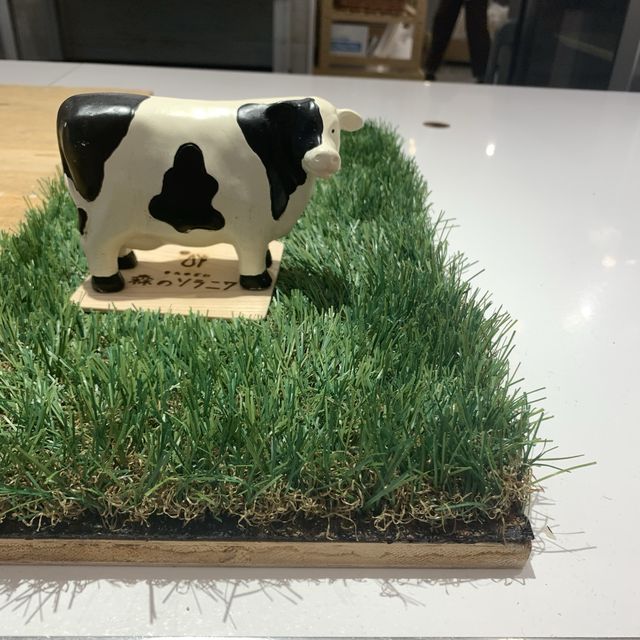 森のソラニワ　朝ごはん