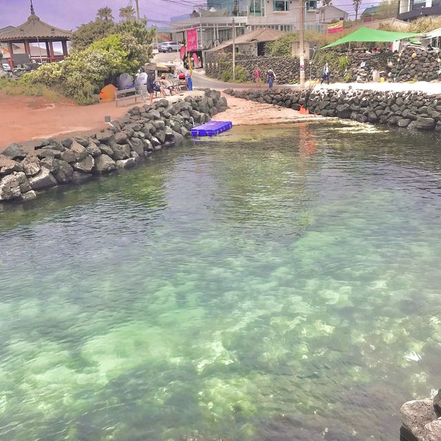[ 제주 뚜벅이 추천 ] 투명 카약 