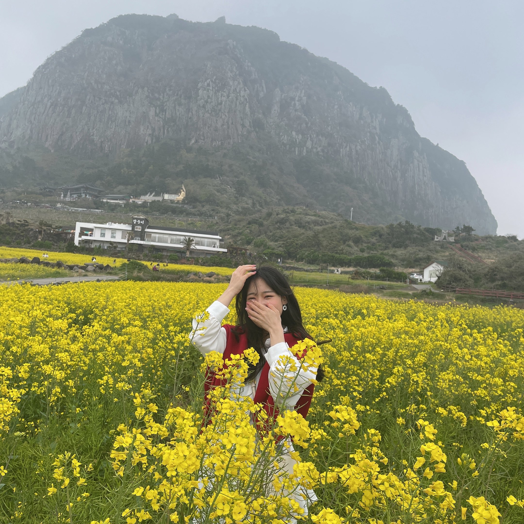 유채꽃 활짝핀 작년 겨울의 제주🌼 | 트립닷컴 서귀포 트래블로그