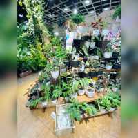 花香撲鼻