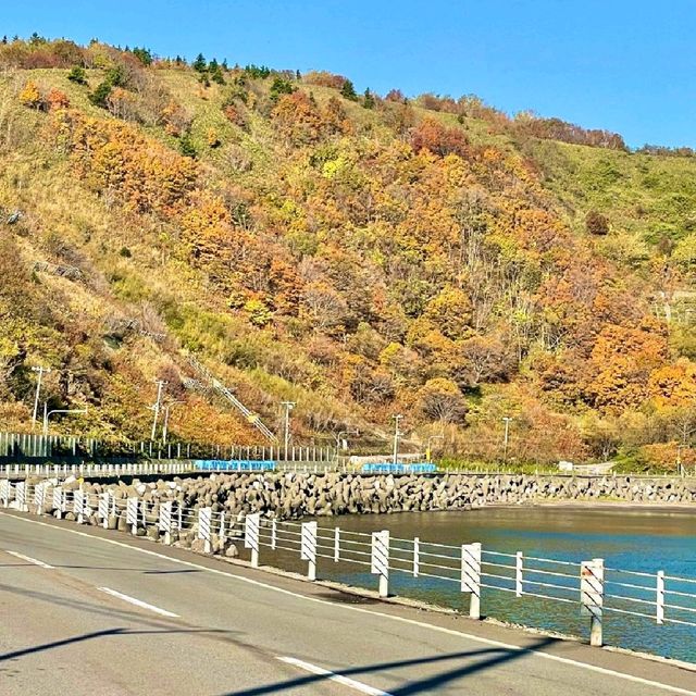 利尻島 穴場の湧水スポット