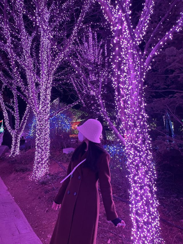 파주의 아름다운 볼거리 :: 퍼스트가든