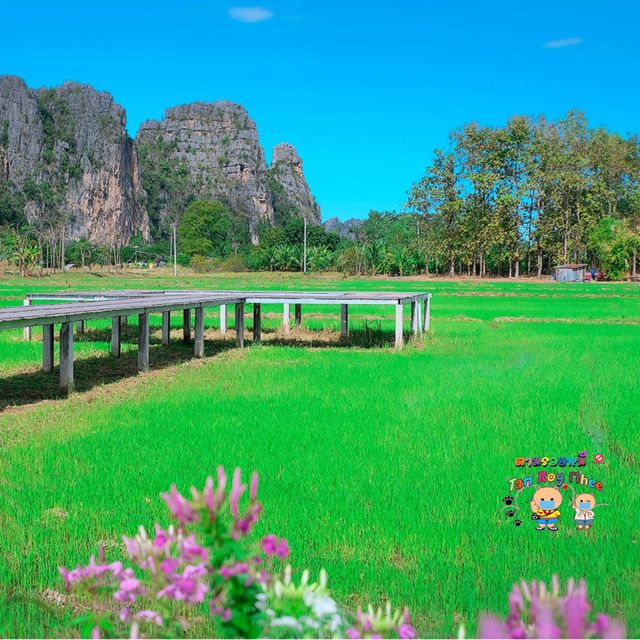 คาเฟ่ที่น่ามาที่สุดในเนินมะปราง