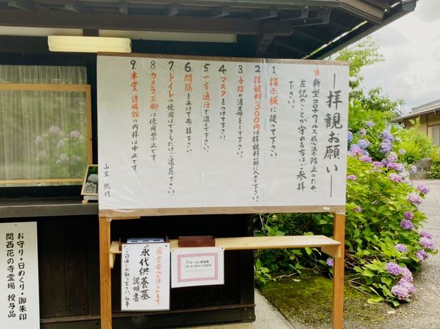【兵庫県】華観音寺あじさい寺で1万株の紫陽花を愛でる！