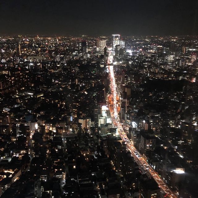 欣賞東京夜景🌃必去六本木展望台