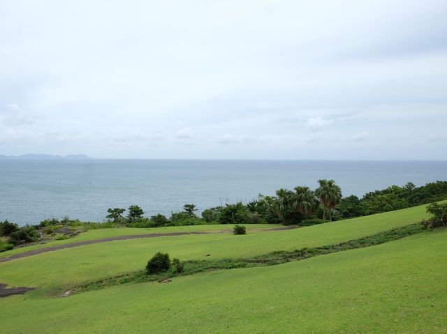 鹿兒島必去《開聞山麓自然公園 》😎😎
