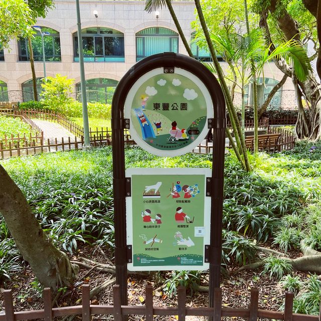 社區裡的悠閒公園｜東豐公園｜炎炎夏日遮陽乘涼的好去處