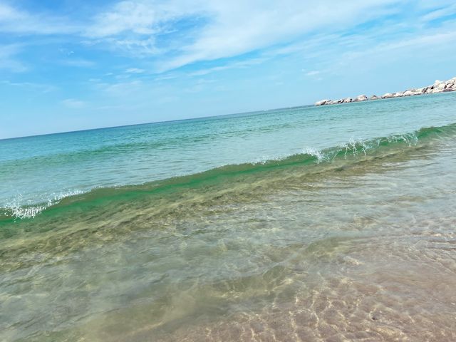 🇰🇷작고 아담한 프라이빗 해변에서 추억만들기 🌊🏄‍♀️