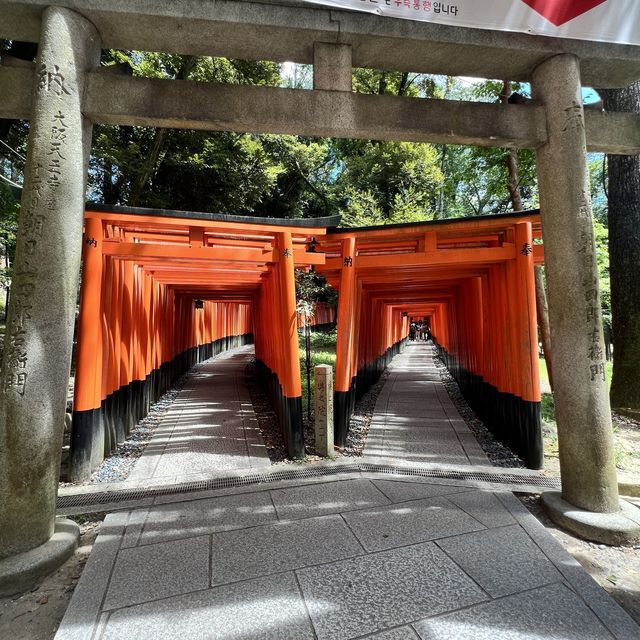 【京都】京都といえば！一度は訪れたいお稲荷さん