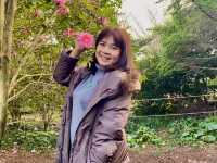  Jeju Camellia Arboretum 🌸