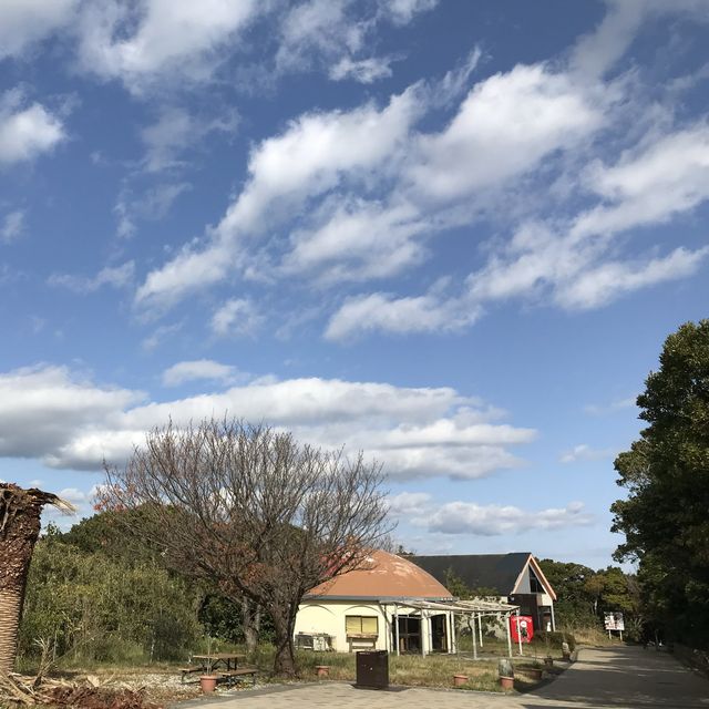 參觀和歌山縣最大的島 — 紀伊大島