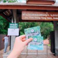 🌳ท่าปอม คลองสองน้ำ จ. กระบี่ 