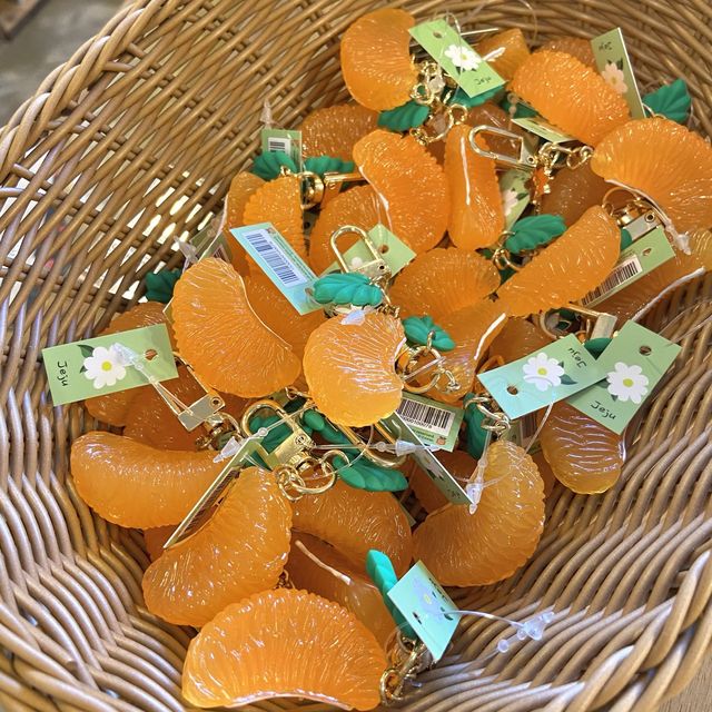 제주스러운 소품들이 가득한 애월 소품샵, 베리제주🍊