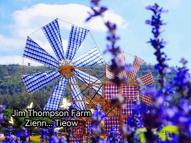 อลังการทุ่งคอสมอสงานเทศกาลดอกไม้@Jim Thompson Farm