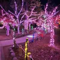 愛知県清須市　清洲公園のイルミネーション