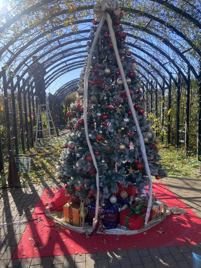 【クリスマスオーナメント】横浜イングリッシュガーデンでクリスマスデートしてきた！