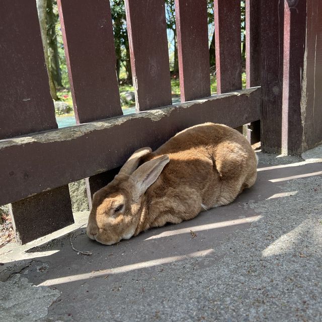 親子旅遊必到景點 - 九州自然動物園
