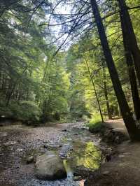 Cedar Falls in Hocking Hills