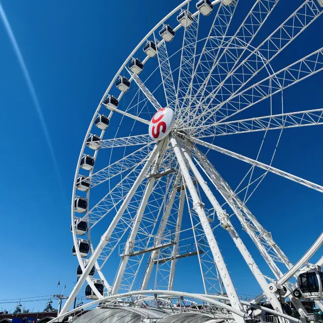 卡爾加裡的牛仔節